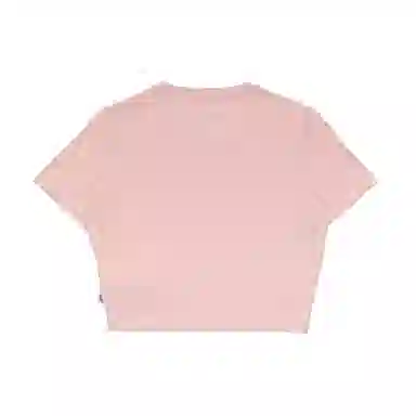 Dickies T DK012314B80