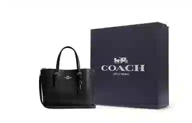 Coach Mollie Tote 25