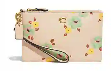 COACH Wristlet 19