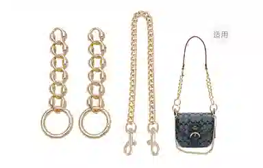 GUYI COACH Chambray Kleo17