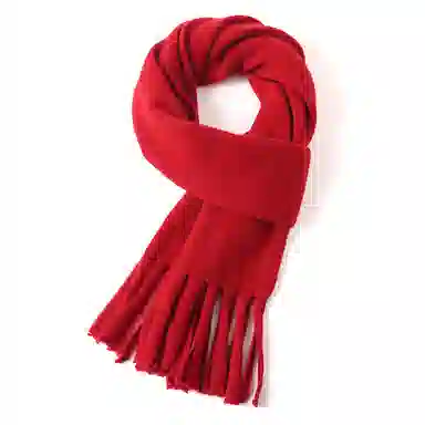 啄木鸟 秋冬季高级感加厚 绒线围巾 女款