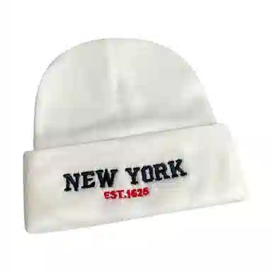 MEETSUNNY NEW YORK
