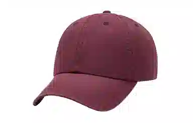 Champion FW24 C-Logo