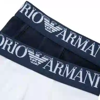 EMPORIO ARMANI FW24 Logo
