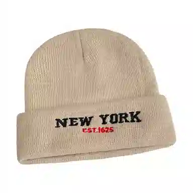 MEETSUNNY NEW YORK