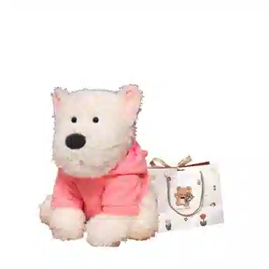 OU DI PIG 13cm24cm35cm45cm