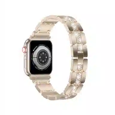 apple watch8765se