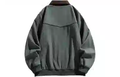 METE WHALE MT