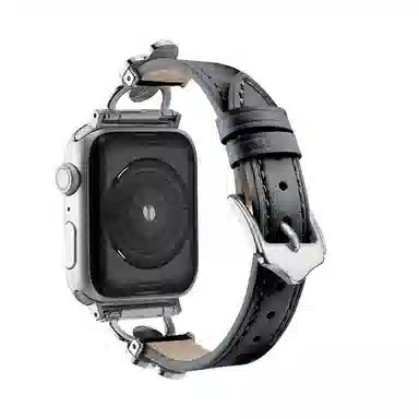 puins AppleWatch98765432SE1