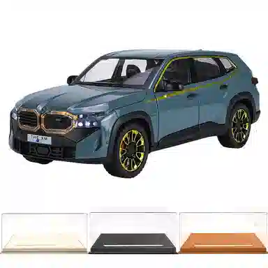 TY MODELS BWM THE XM 124