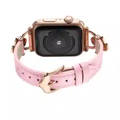 puins AppleWatch98765432SE1