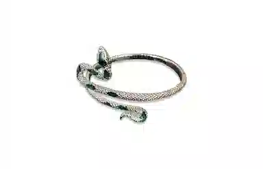 RINGLOVE ins
