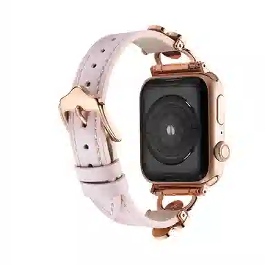 puins AppleWatch98765432SE1