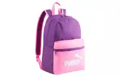 PUMA Phase