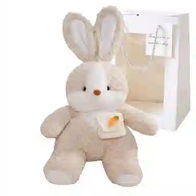 30cm35cm40cm50cm55cm75cm