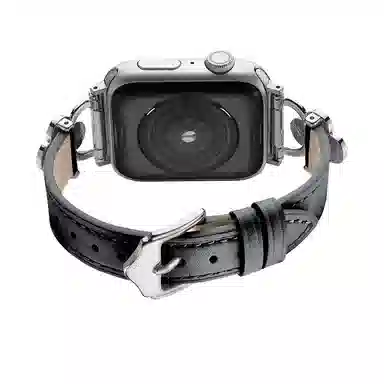 puins AppleWatch98765432SE1