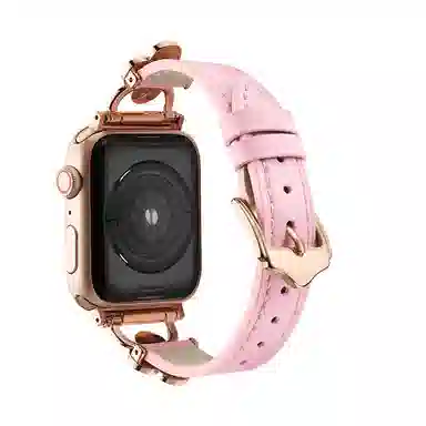 puins AppleWatch98765432SE1