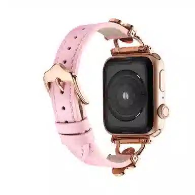 puins AppleWatch98765432SE1