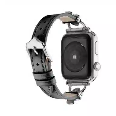 puins AppleWatch98765432SE1