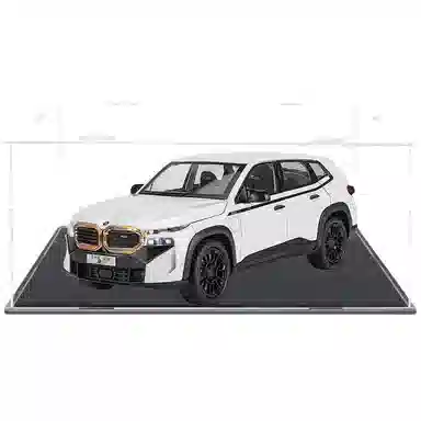 TY MODELS BWM THE XM 124