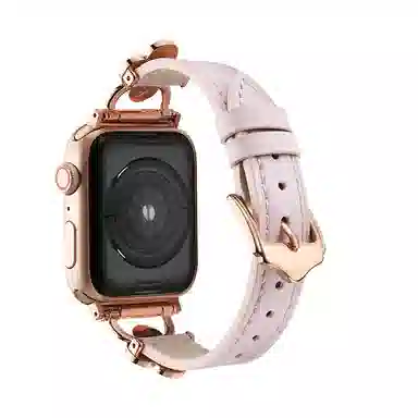 puins AppleWatch98765432SE1