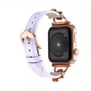puins AppleWatch98765432SE1