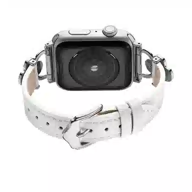 puins AppleWatch98765432SE1