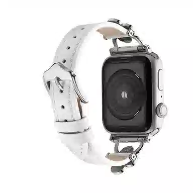 puins AppleWatch98765432SE1