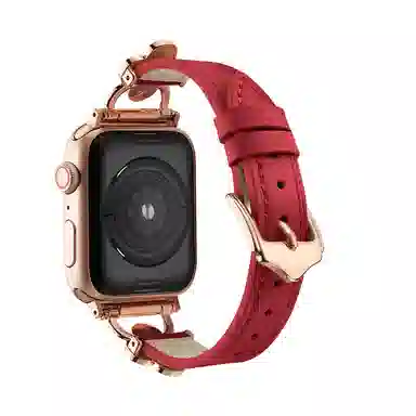 puins AppleWatch98765432SE1
