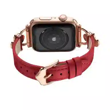 puins AppleWatch98765432SE1