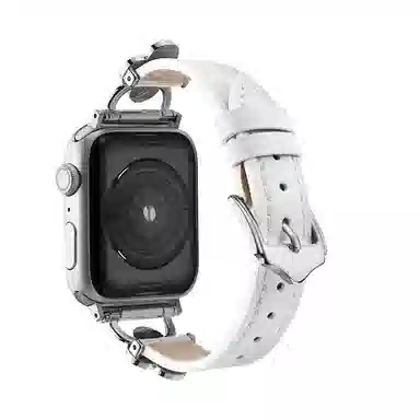 puins AppleWatch98765432SE1