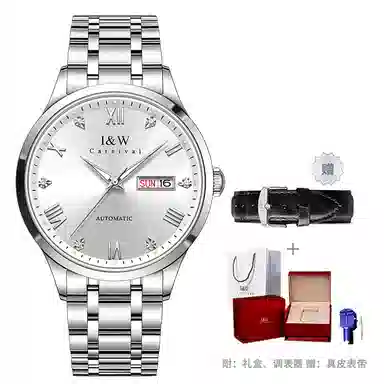 I&W Carnival IW8679GG