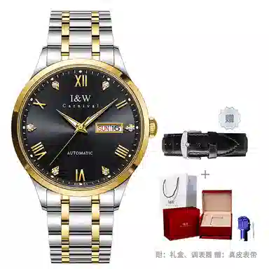 I&W Carnival IW8679GG