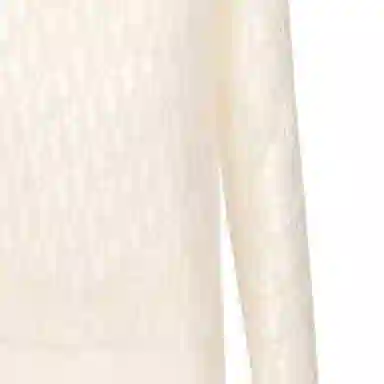 DIOR FW21 LogoT
