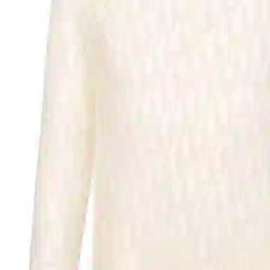 DIOR FW21 LogoT
