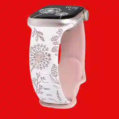 Antey apples9watchiwatch823456seultra