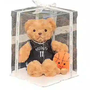 NBA 25cm