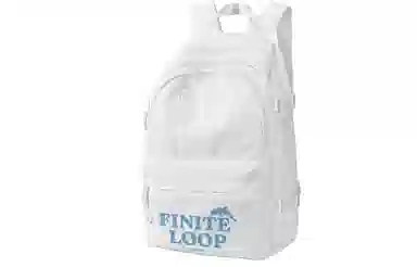 FINITE LOOP