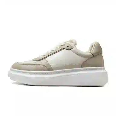 THOM WILLS Trainer