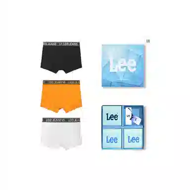 Lee 3