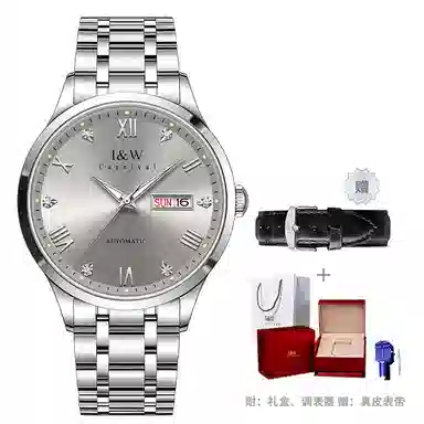 I&W Carnival IW8679GG