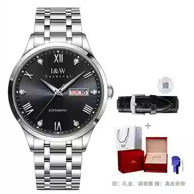 I&W Carnival IW8679GG