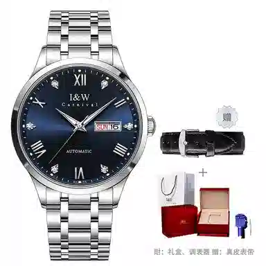 I&W Carnival IW8679GG