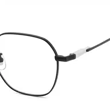 Polaroid Butterfly Optical Frame