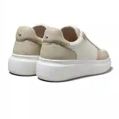 THOM WILLS Trainer