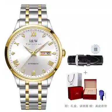 I&W Carnival IW8679GG