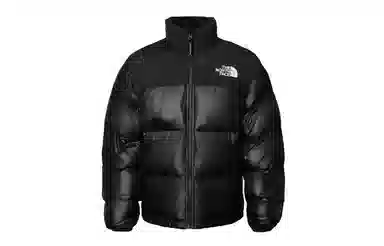 THE NORTH FACE Nuptse 811