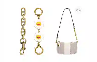 COACHswinger