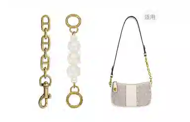 COACHswinger
