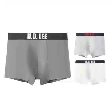 Lee 3